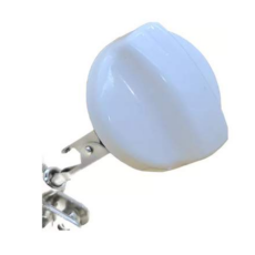 Perilla Longvie - Longvie Actual Bl